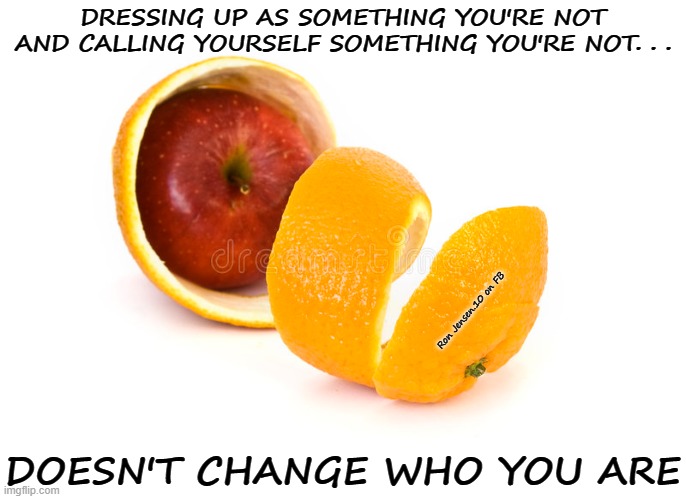 You Are Who You Are, Not How You Feel | DRESSING UP AS SOMETHING YOU'RE NOT AND CALLING YOURSELF SOMETHING YOU'RE NOT. . . Ron Jensen.10 on FB; DOESN'T CHANGE WHO YOU ARE | image tagged in apples,oranges,transgender,transphobic,transgender bathroom,lgbtq | made w/ Imgflip meme maker