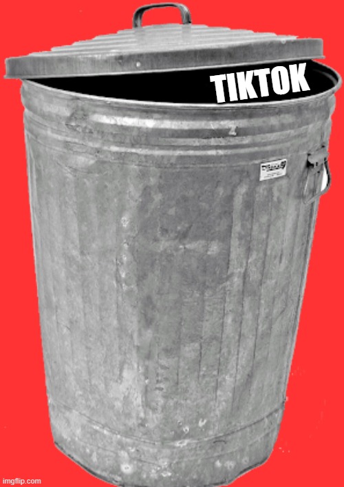 Trash | TIKTOK | image tagged in trash | made w/ Imgflip meme maker