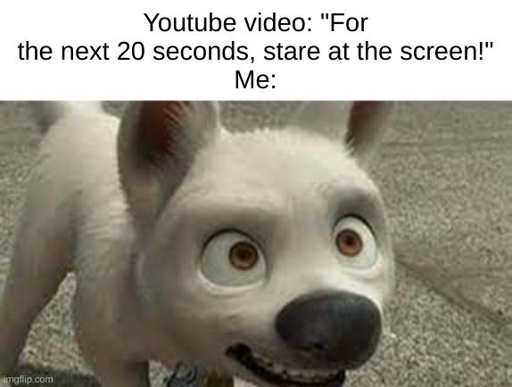 I always did this... | Youtube video: "For the next 20 seconds, stare at the screen!"
Me: | image tagged in lol,memes,bolt,youtube,relateable | made w/ Imgflip meme maker