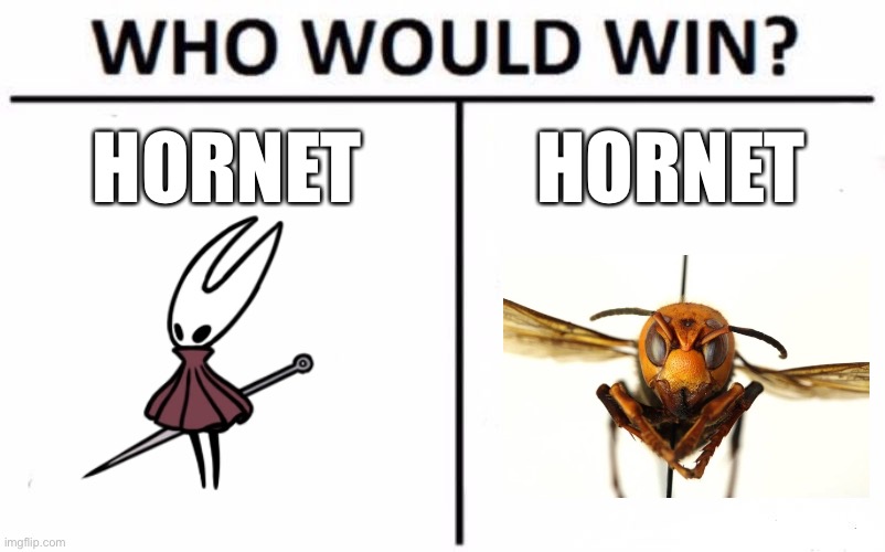 Who Would Win? Meme | HORNET; HORNET | image tagged in memes,who would win | made w/ Imgflip meme maker