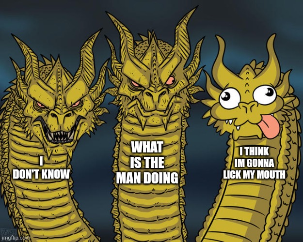 Three Dragons Meme | WHAT IS THE MAN DOING; I THINK IM GONNA LICK MY MOUTH; I DON'T KNOW | image tagged in three-headed dragon | made w/ Imgflip meme maker