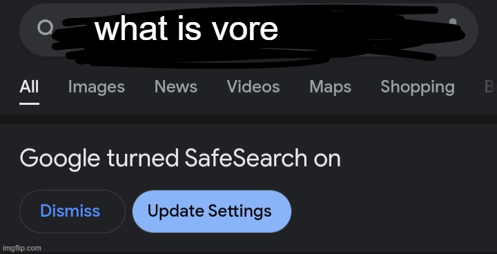 Google turned SafeSearch on | what is vore | image tagged in google turned safesearch on | made w/ Imgflip meme maker