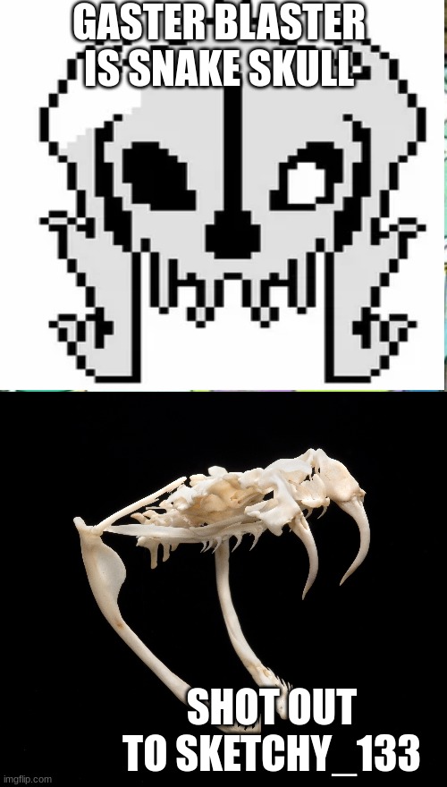 I meant shout out. | GASTER BLASTER IS SNAKE SKULL; SHOT OUT TO SKETCHY_133 | image tagged in sans undertale | made w/ Imgflip meme maker