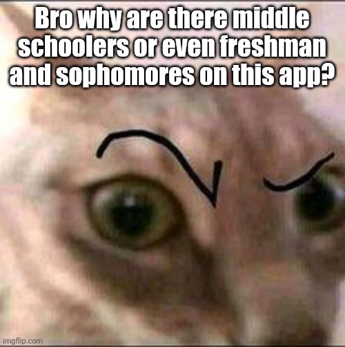 U people making me feel old | Bro why are there middle schoolers or even freshman and sophomores on this app? | image tagged in bruh | made w/ Imgflip meme maker