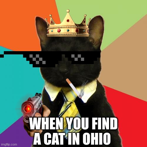 ohio | WHEN YOU FIND A CAT IN OHIO | image tagged in memes,business cat | made w/ Imgflip meme maker