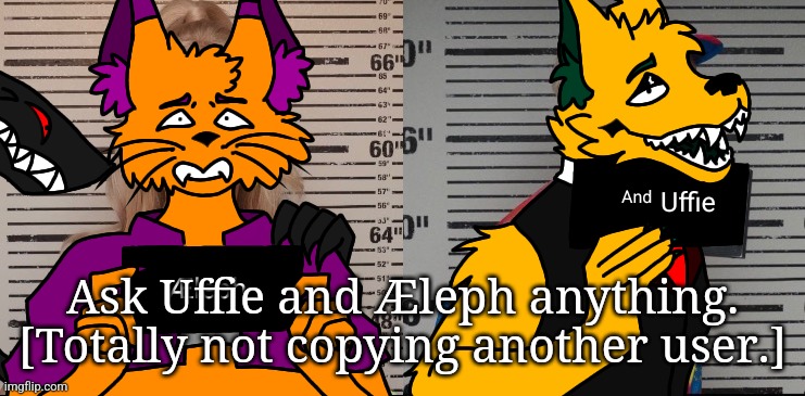 Uffie is a dog, and Æleph is a cat. They're siblings. | Ask Uffie and Æleph anything.
[Totally not copying another user.] | made w/ Imgflip meme maker