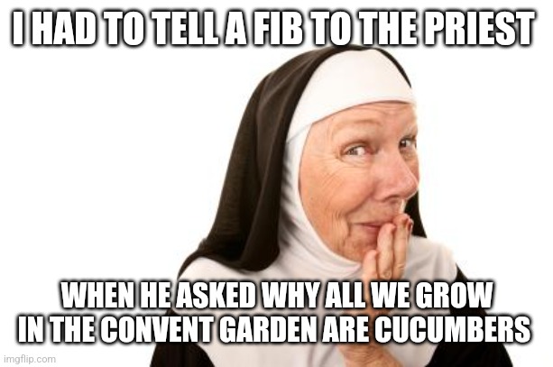 Think about it | I HAD TO TELL A FIB TO THE PRIEST; WHEN HE ASKED WHY ALL WE GROW IN THE CONVENT GARDEN ARE CUCUMBERS | image tagged in nun | made w/ Imgflip meme maker