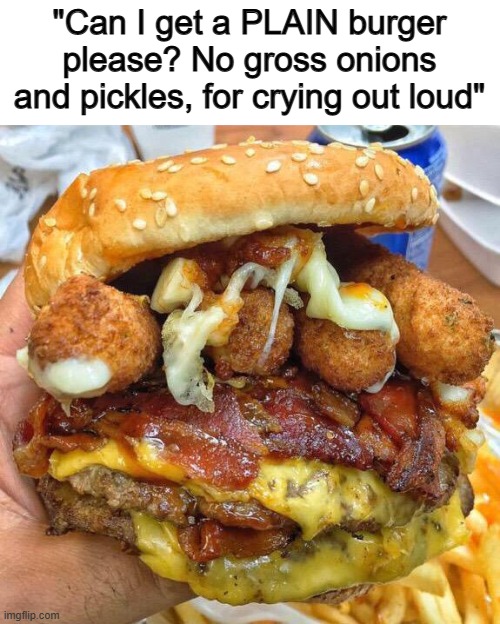 Aw great, they didn't listen, and we have the gross toppings again XP | "Can I get a PLAIN burger please? No gross onions and pickles, for crying out loud" | image tagged in burger | made w/ Imgflip meme maker