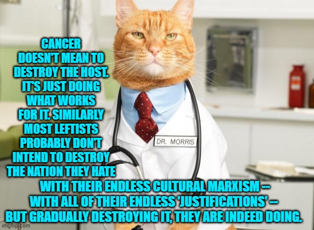 I put this in a reply and then decided to meme it before a Imgflip mod could delete it for howling liberals. | CANCER DOESN'T MEAN TO DESTROY THE HOST. IT'S JUST DOING WHAT WORKS FOR IT. SIMILARLY MOST LEFTISTS PROBABLY DON'T INTEND TO DESTROY THE NATION THEY HATE; WITH THEIR ENDLESS CULTURAL MARXISM -- WITH ALL OF THEIR ENDLESS 'JUSTIFICATIONS' -- BUT GRADUALLY DESTROYING IT, THEY ARE INDEED DOING. | image tagged in cat doctor | made w/ Imgflip meme maker