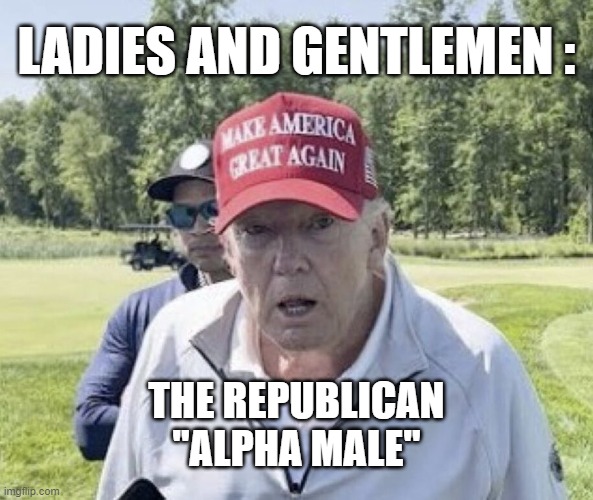 LADIES AND GENTLEMEN :; THE REPUBLICAN
"ALPHA MALE" | image tagged in trump,old,alpha | made w/ Imgflip meme maker