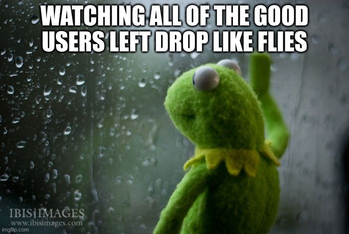 . | WATCHING ALL OF THE GOOD USERS LEFT DROP LIKE FLIES | image tagged in kermit window | made w/ Imgflip meme maker