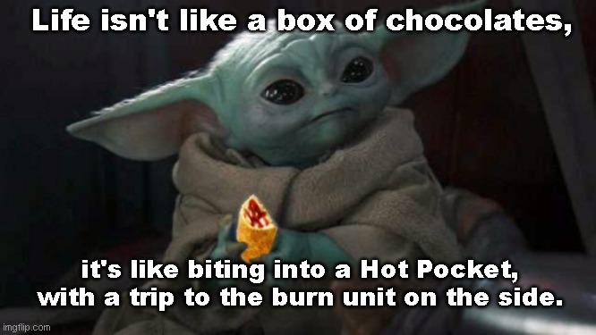 Life isn't | Life isn't like a box of chocolates, it's like biting into a Hot Pocket, with a trip to the burn unit on the side. | image tagged in life lessons,baby yoda,hot pockets,life is like a box of chocolates,satire,humor | made w/ Imgflip meme maker