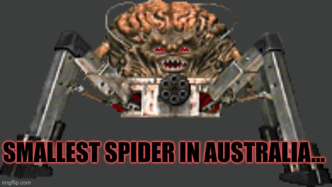 Meanwhile in Australia | SMALLEST SPIDER IN AUSTRALIA... | image tagged in spider mastermind,meanwhile in australia,spider | made w/ Imgflip meme maker