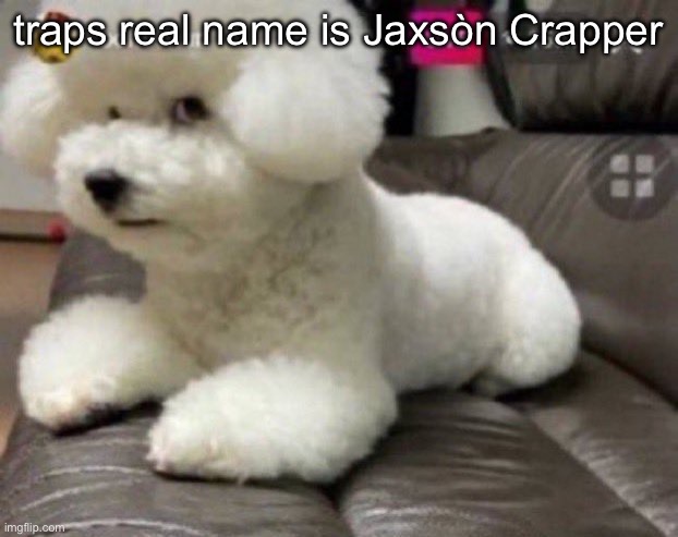 had to expose one | traps real name is Jaxsòn Crapper | image tagged in bombastic side eye | made w/ Imgflip meme maker