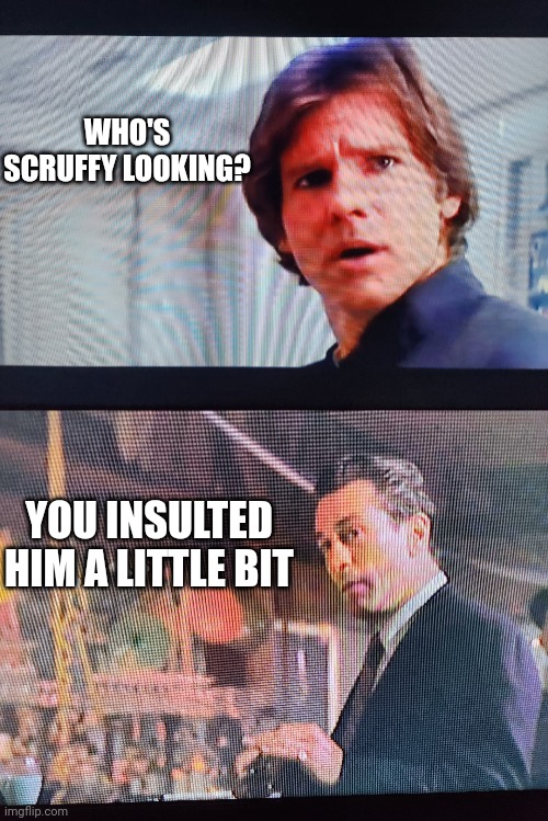 GoodSolo | WHO'S SCRUFFY LOOKING? YOU INSULTED HIM A LITTLE BIT | image tagged in lil bit | made w/ Imgflip meme maker