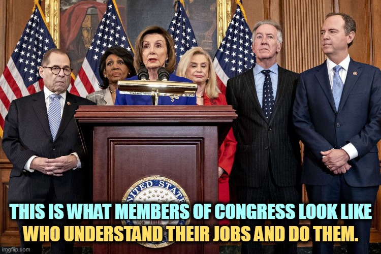 Republicans don't serve their constituents, they serve rich donors and the Donald. | THIS IS WHAT MEMBERS OF CONGRESS LOOK LIKE; WHO UNDERSTAND THEIR JOBS AND DO THEM. | image tagged in democrat congressmen,serve,american,people,job | made w/ Imgflip meme maker
