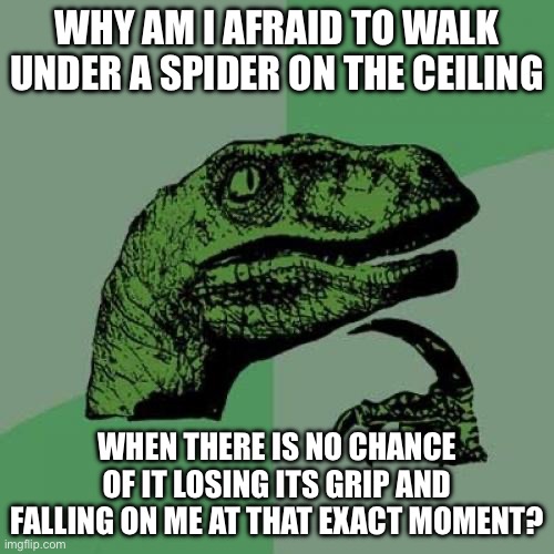 Relatable when you were under 10 years old | WHY AM I AFRAID TO WALK UNDER A SPIDER ON THE CEILING; WHEN THERE IS NO CHANCE OF IT LOSING ITS GRIP AND FALLING ON ME AT THAT EXACT MOMENT? | image tagged in memes,philosoraptor | made w/ Imgflip meme maker