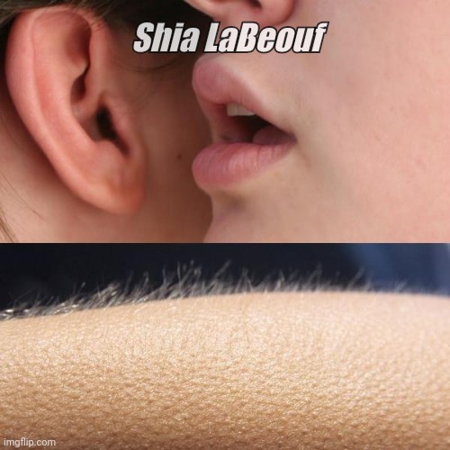 Shia SURPRISE | Shia LaBeouf | image tagged in whisper and goosebumps,fun,shia labeouf,murderer,stalker | made w/ Imgflip meme maker