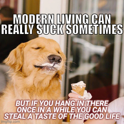 hang in there | MODERN LIVING CAN REALLY SUCK SOMETIMES; BUT IF YOU HANG IN THERE
ONCE IN A WHILE YOU CAN STEAL A TASTE OF THE GOOD LIFE | image tagged in memes | made w/ Imgflip meme maker