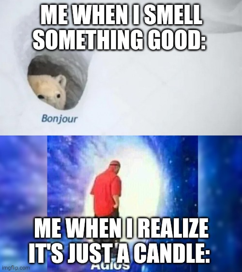 bonjur adios | ME WHEN I SMELL SOMETHING GOOD:; ME WHEN I REALIZE IT'S JUST A CANDLE: | image tagged in bonjur adios | made w/ Imgflip meme maker