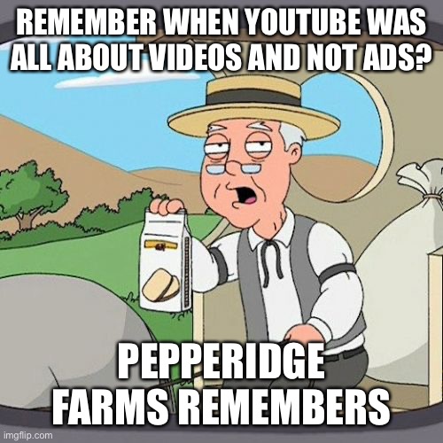 One of the reasons why YouTube was better back then | REMEMBER WHEN YOUTUBE WAS ALL ABOUT VIDEOS AND NOT ADS? PEPPERIDGE FARMS REMEMBERS | image tagged in memes,pepperidge farm remembers,youtube | made w/ Imgflip meme maker