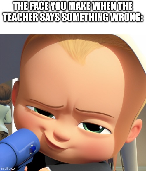 [Insert Amusing Title Here] | THE FACE YOU MAKE WHEN THE TEACHER SAYS SOMETHING WRONG: | image tagged in funny | made w/ Imgflip meme maker