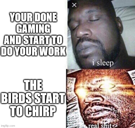 i sleep real shit | YOUR DONE GAMING AND START TO DO YOUR WORK; THE BIRDS START TO CHIRP | image tagged in i sleep real shit | made w/ Imgflip meme maker