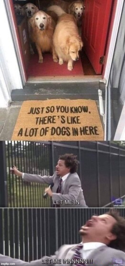 image tagged in dogs | made w/ Imgflip meme maker