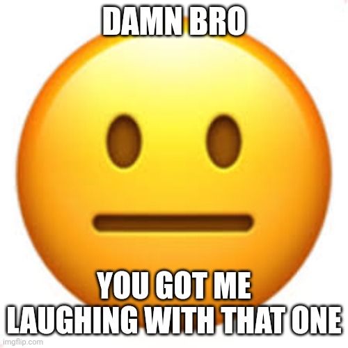 Not funny | DAMN BRO YOU GOT ME LAUGHING WITH THAT ONE | image tagged in not funny | made w/ Imgflip meme maker