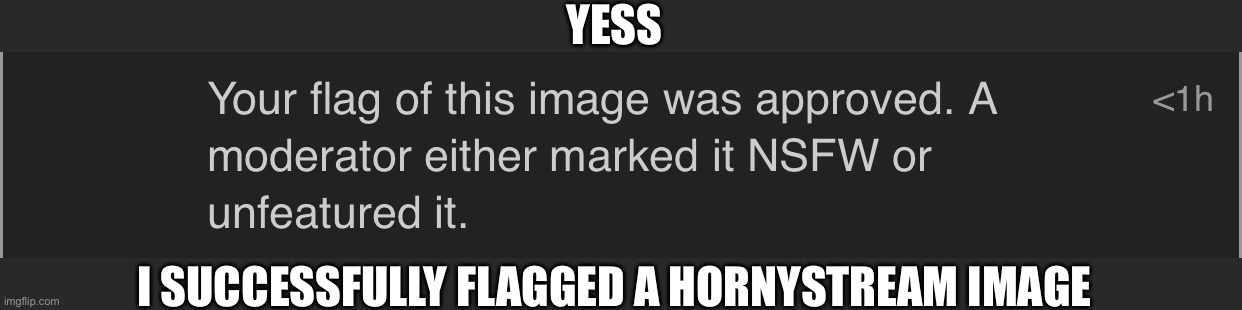 Take that mfs | YESS; I SUCCESSFULLY FLAGGED A HORNYSTREAM IMAGE | made w/ Imgflip meme maker