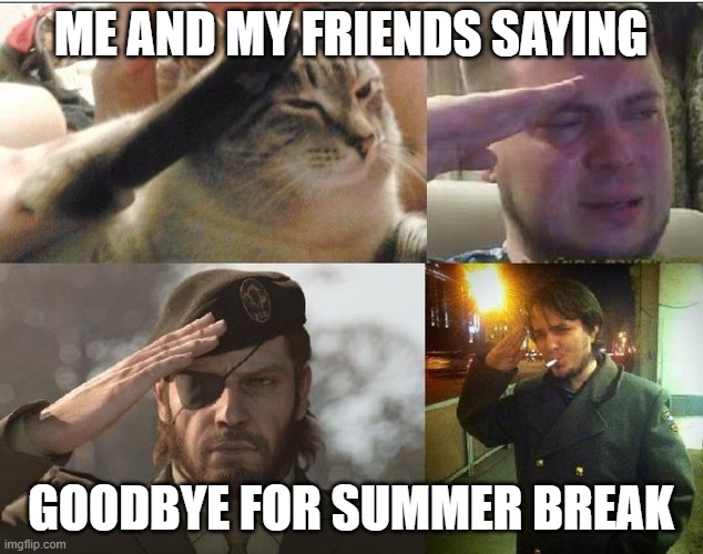 salute | ME AND MY FRIENDS SAYING; GOODBYE FOR SUMMER BREAK | image tagged in ozon's salute,funny memes,summer | made w/ Imgflip meme maker