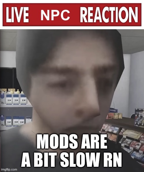 Live NPC reaction | MODS ARE A BIT SLOW RN | image tagged in live npc reaction | made w/ Imgflip meme maker