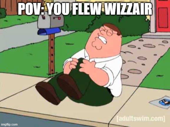 peter hurting his knee | POV: YOU FLEW WIZZAIR | image tagged in peter hurting his knee | made w/ Imgflip meme maker