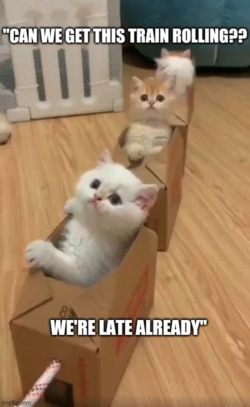 Kitty Express | "CAN WE GET THIS TRAIN ROLLING?? WE'RE LATE ALREADY" | image tagged in cute kittens,train wreck | made w/ Imgflip meme maker