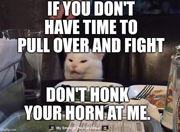IF YOU DON'T HAVE TIME TO PULL OVER AND FIGHT; DON'T HONK YOUR HORN AT ME. | image tagged in smudge the cat | made w/ Imgflip meme maker
