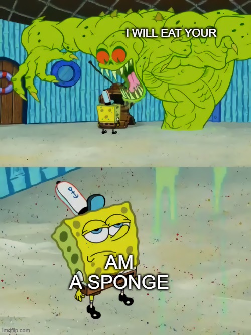 Spongebob vs the flying Dutchman | I WILL EAT YOUR; AM A SPONGE | image tagged in spongebob vs the flying dutchman | made w/ Imgflip meme maker