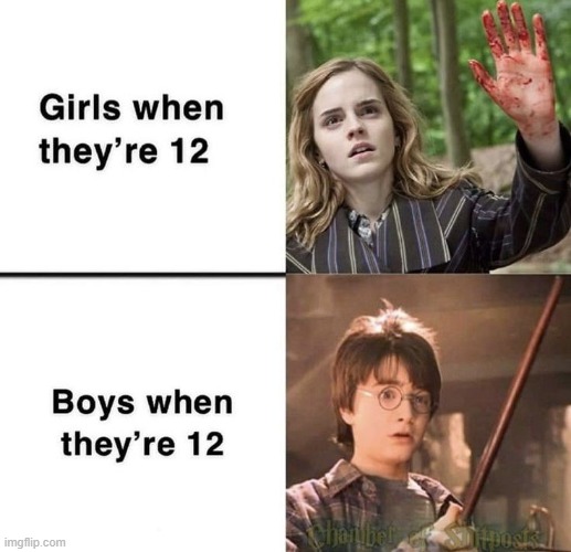 image tagged in harry potter | made w/ Imgflip meme maker