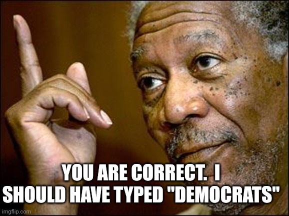 This Morgan Freeman | YOU ARE CORRECT.  I SHOULD HAVE TYPED "DEMOCRATS" | image tagged in this morgan freeman | made w/ Imgflip meme maker