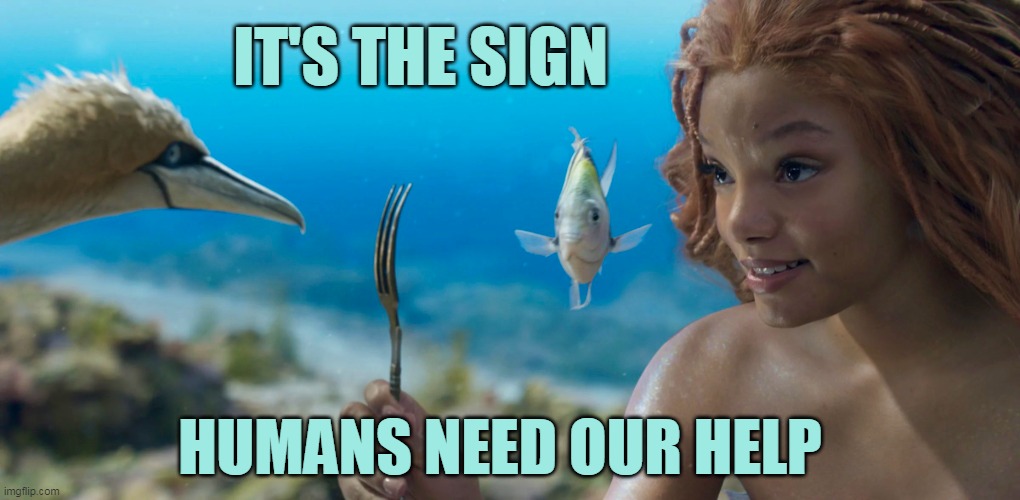 She's right... | image tagged in the little mermaid,ariel,mermaid,bird | made w/ Imgflip meme maker