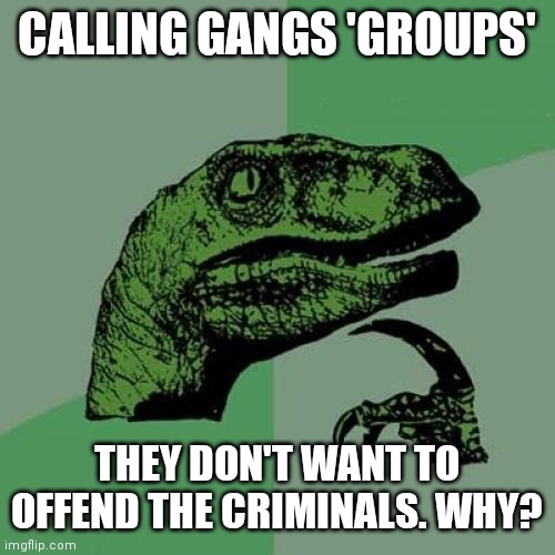 The MSM has started | CALLING GANGS 'GROUPS'; THEY DON'T WANT TO OFFEND THE CRIMINALS. WHY? | image tagged in memes,philosoraptor | made w/ Imgflip meme maker