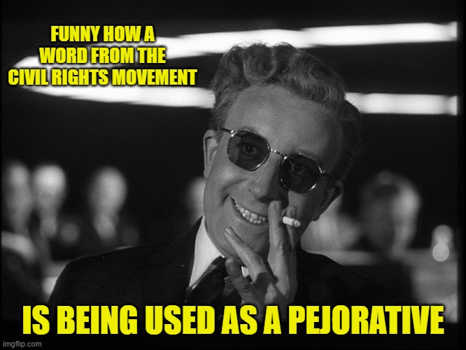 Dr. Strangelove | FUNNY HOW A WORD FROM THE CIVIL RIGHTS MOVEMENT IS BEING USED AS A PEJORATIVE | image tagged in dr strangelove | made w/ Imgflip meme maker