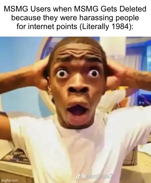 Shocked black guy | MSMG Users when MSMG Gets Deleted because they were harassing people for internet points (Literally 1984): | image tagged in shocked black guy | made w/ Imgflip meme maker