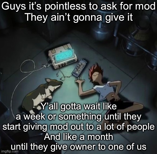 Edd and Ein | Guys it’s pointless to ask for mod
They ain’t gonna give it; Y’all gotta wait like a week or something until they start giving mod out to a lot of people
And like a month until they give owner to one of us | image tagged in edd and ein | made w/ Imgflip meme maker