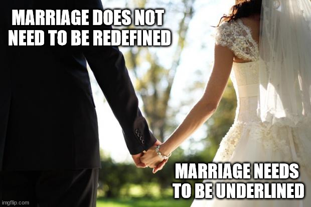 Marriage Underlined | MARRIAGE DOES NOT 
NEED TO BE REDEFINED; MARRIAGE NEEDS 
TO BE UNDERLINED | image tagged in wedding,groom,bride | made w/ Imgflip meme maker