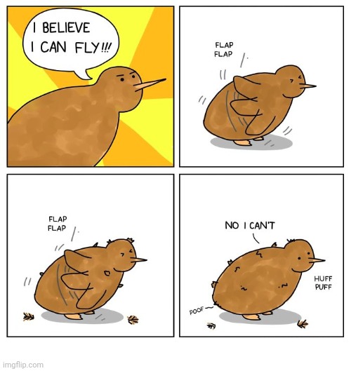 Can't fly | image tagged in bird,birds,i believe i can fly,fly,comics,comics/cartoons | made w/ Imgflip meme maker