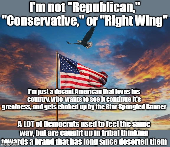 Had to pick the lesser of two evils | I'm not "Republican," "Conservative," or "Right Wing"; I'm just a decent American that loves his country, who  wants to see it continue it's greatness, and gets choked up by the Star Spangled Banner; A LOT of Democrats used to feel the same way, but are caught up in tribal thinking towards a brand that has long since deserted them | image tagged in democratic party meme | made w/ Imgflip meme maker