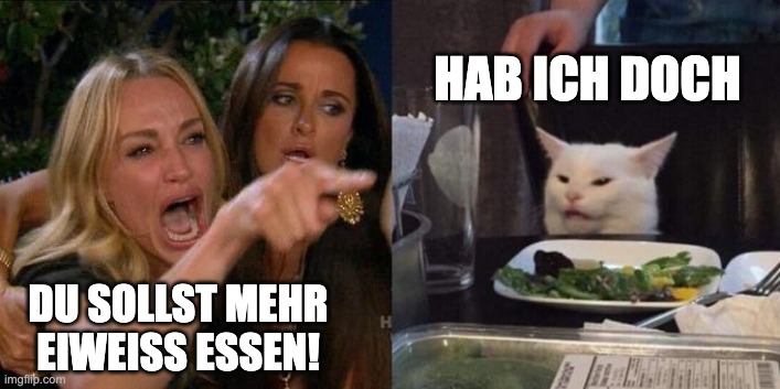 Woman Screaming at Cat | HAB ICH DOCH; DU SOLLST MEHR EIWEISS ESSEN! | image tagged in woman screaming at cat | made w/ Imgflip meme maker
