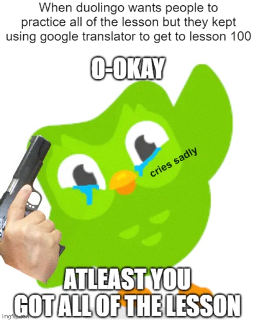 Duolingo why- | image tagged in duolingo,duolingo bird,duolingo gun,memes,funny,funny memes | made w/ Imgflip meme maker
