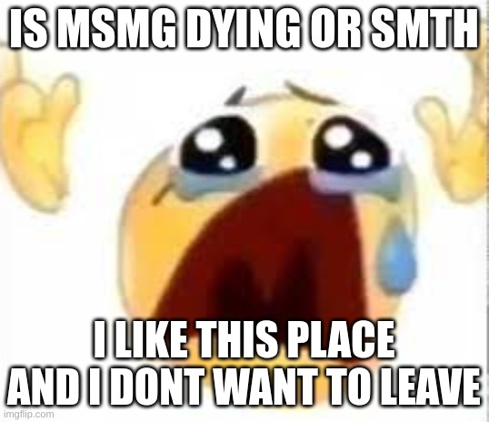 Crying emoji | IS MSMG DYING OR SMTH; I LIKE THIS PLACE AND I DONT WANT TO LEAVE | image tagged in crying emoji | made w/ Imgflip meme maker