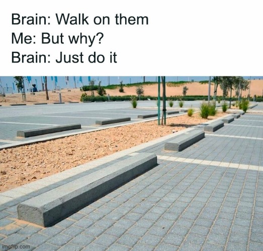 I walk on these as well, for no good reason XD | image tagged in repost | made w/ Imgflip meme maker